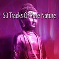 53 Tracks Of Pure Nature