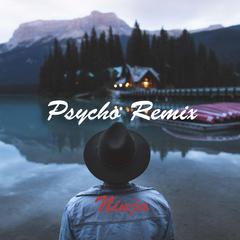 Psycho Remix