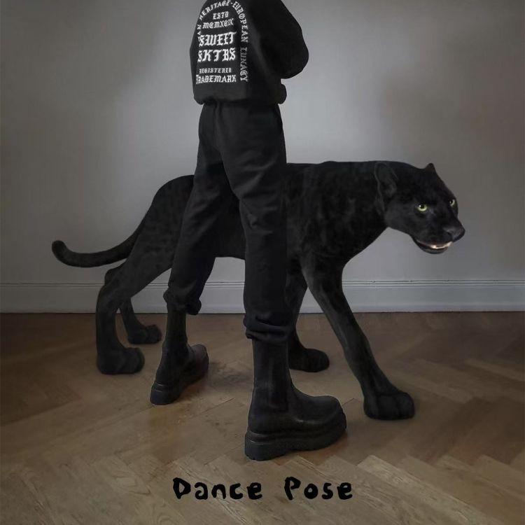 Dance Pose (舞姿)