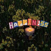 HAPPINESS (会幸福的）
