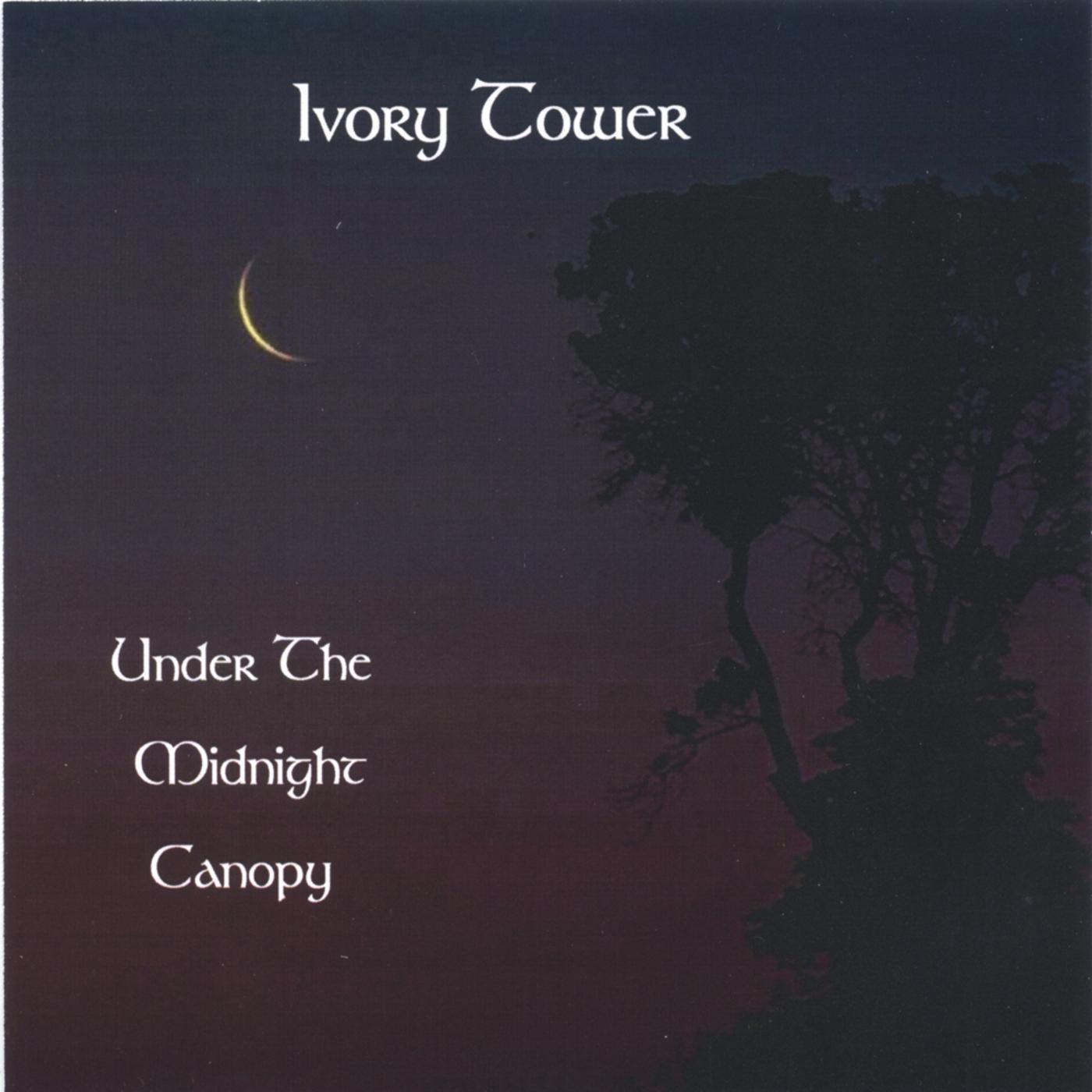 Under The Midnight Canopy