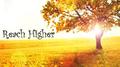 Reach Higher专辑