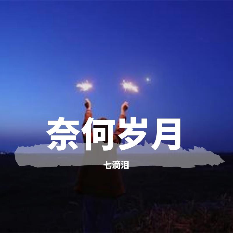 奈何岁月