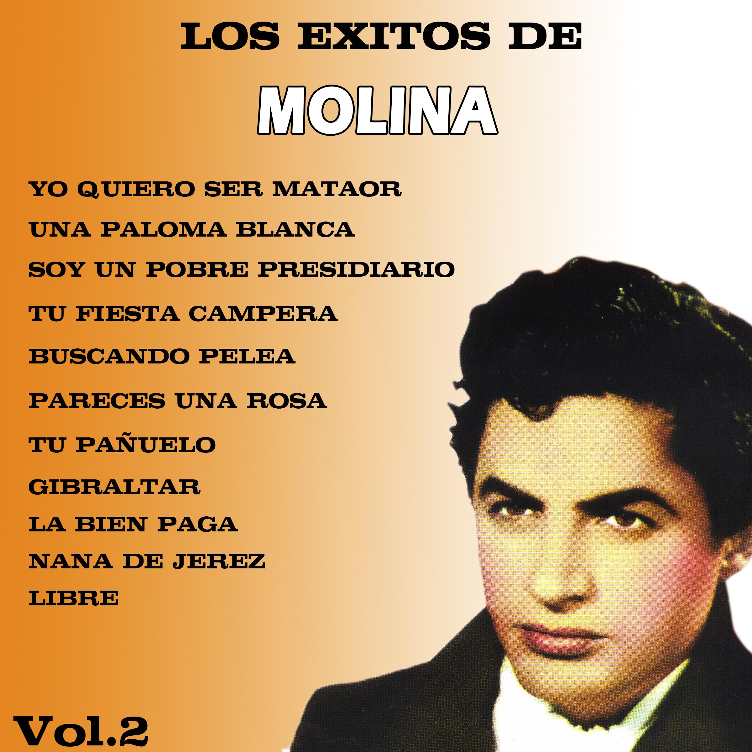 Los Exitos de Molina (Volumen II)