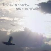 Trapped In a Coma... Unable To Breathe专辑
