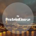 ProteinKinase