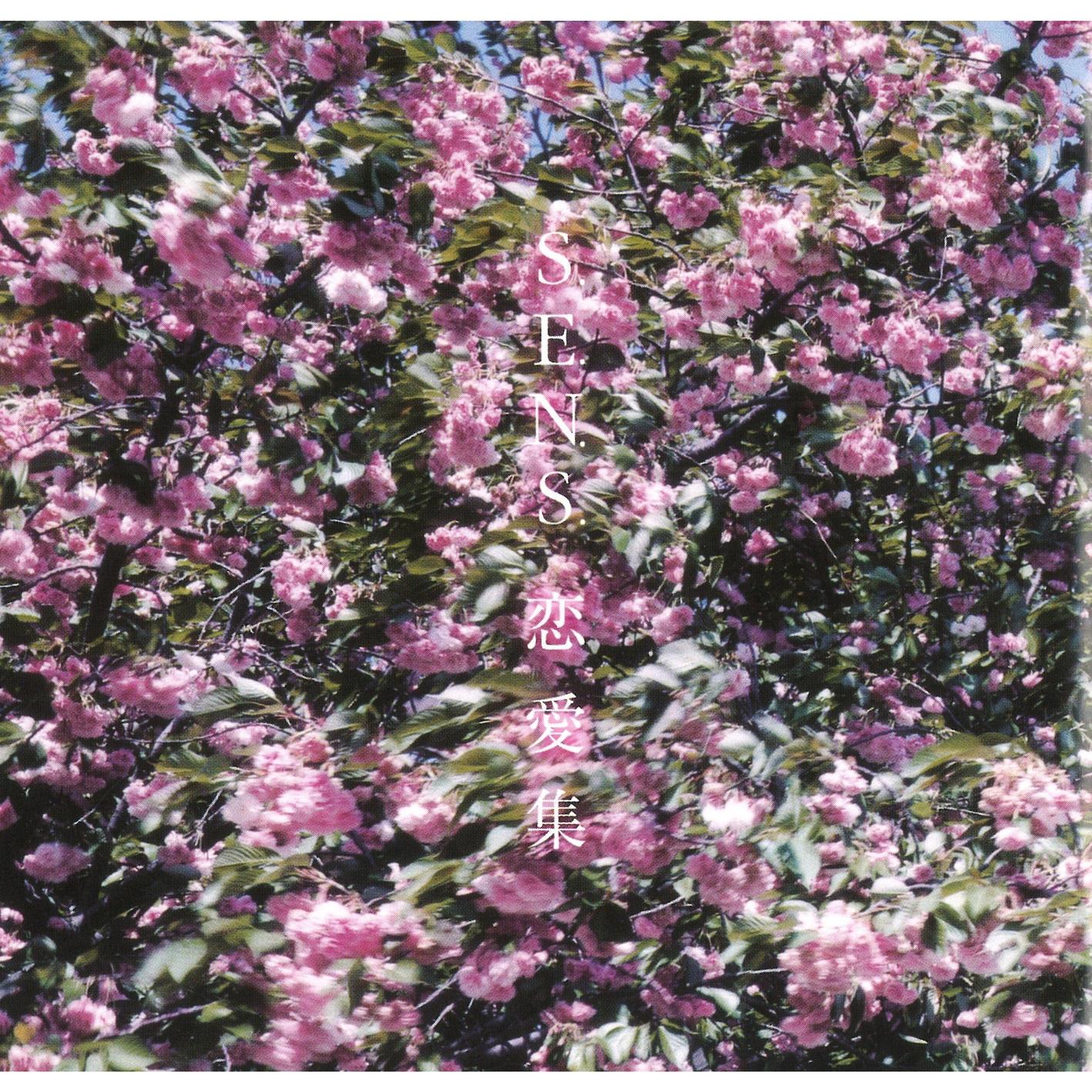 風のように ~ Main Theme