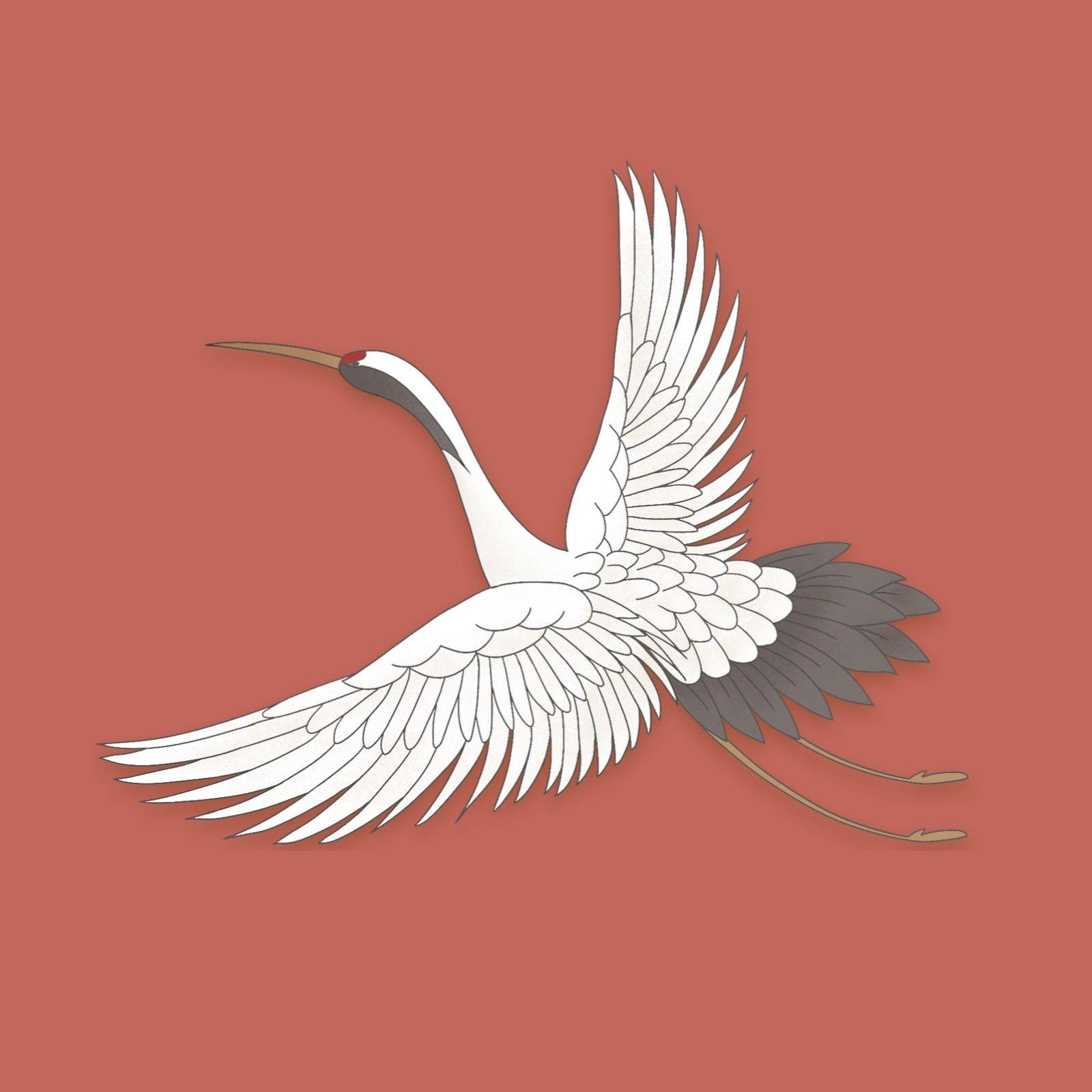 抖音热门 - 库里之歌(DragonX,Ry Bootleg)