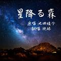 星降る森-脆球