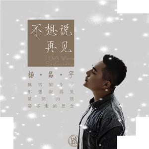 杨昌宇 - 不想说再见(原版立体声伴奏)