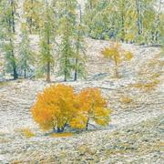 Autumn and Winter: A Collection of Poems专辑