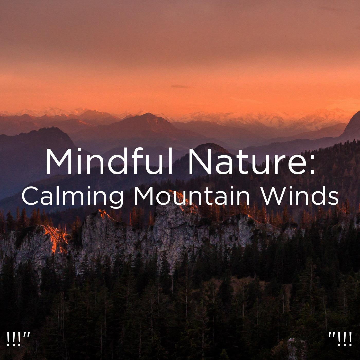 !!!" Mindful Nature: Calming Mountain Winds "!!!