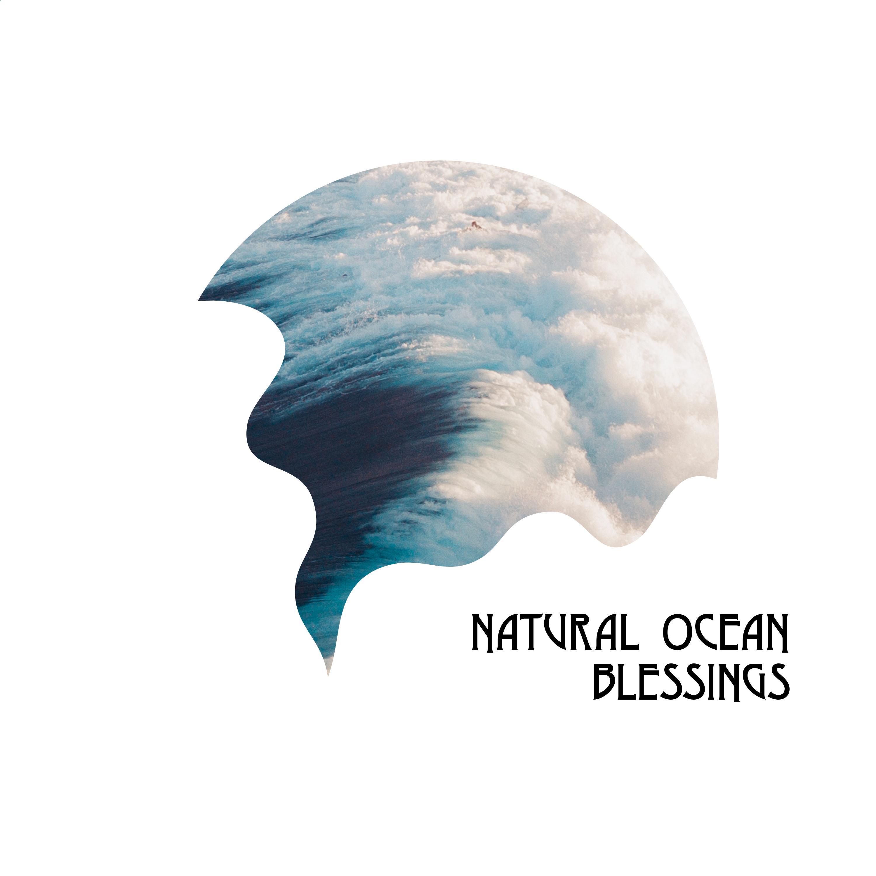 Blissful Ocean Music Library - Noise of Birds and Rocks
