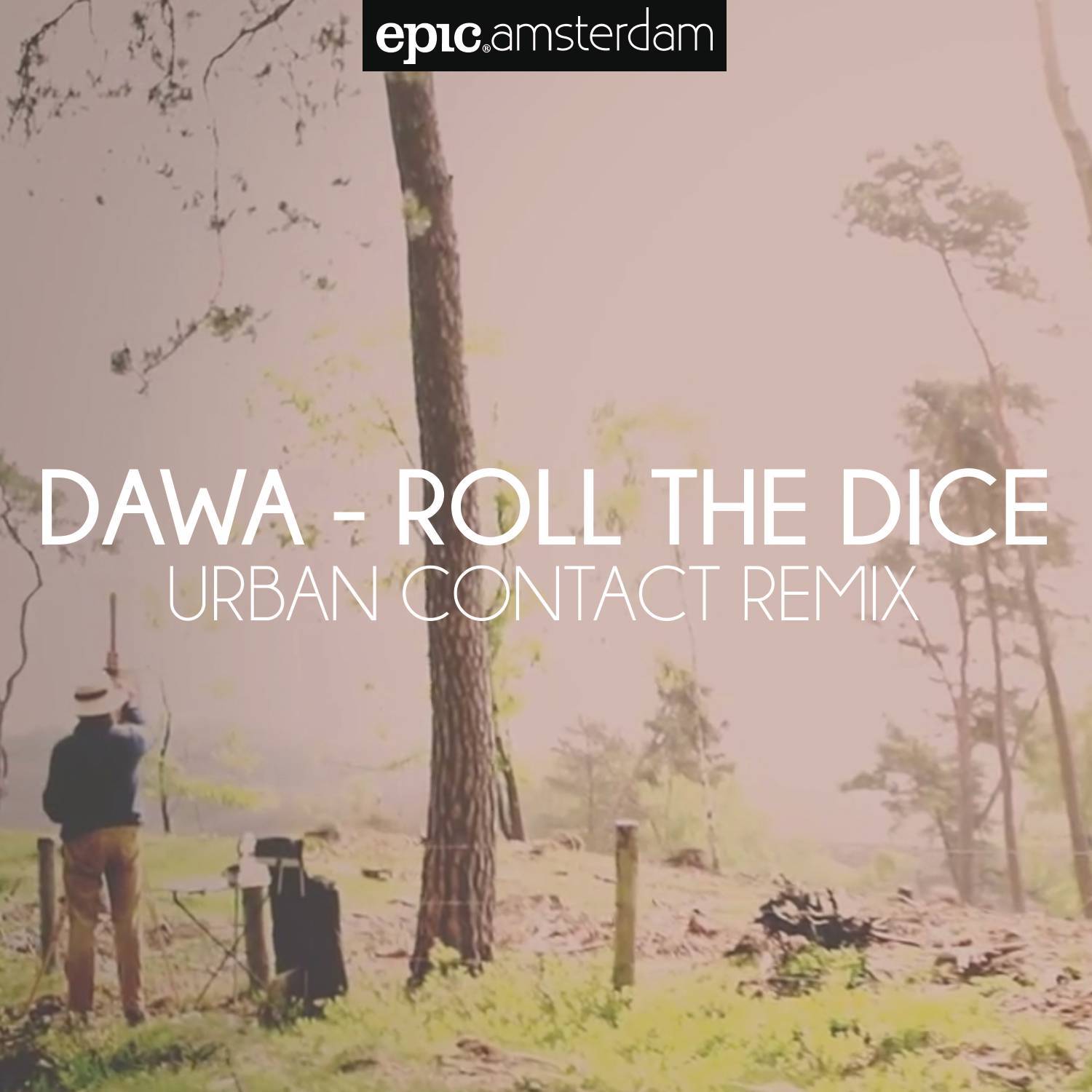 Roll the Dice (Urban Contact Remix) (Radio Edit)