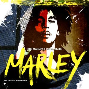 Roots, Rock, Reggae - Bob Marley (Karaoke Version) 带和声伴奏