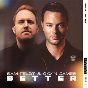 Sam Feldt & Gavin James - Better (Extended Mix) (Instrumental) 原版无和声伴奏 （降7半音）