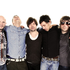 Shed Seven