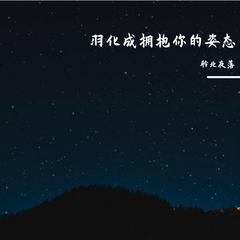 羽化成拥抱你的姿态（demo）