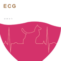 ECG