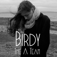 The A Team - Birdy (Karaoke Version) 带和声伴奏