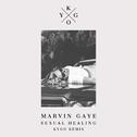 Sexual Healing (Kygo Remix) 专辑