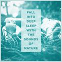 Fall Into Deep Sleep With the Sounds of Nature专辑