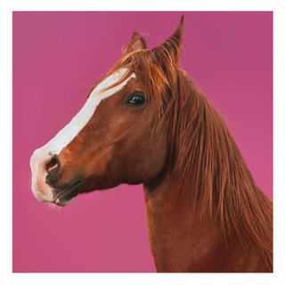 年度副本通关，骑“马”跨年去！