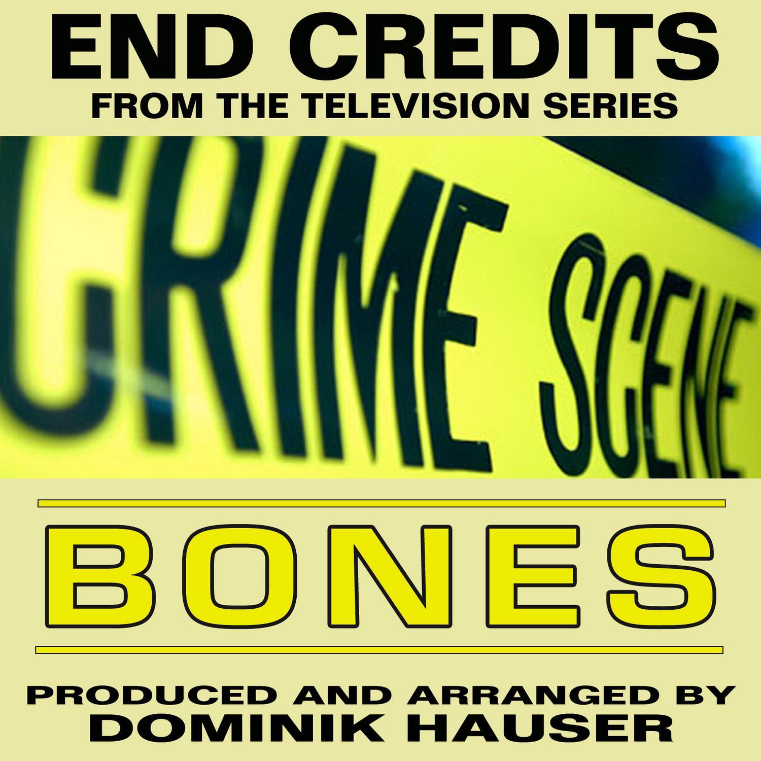 End Credits (From "Bones")专辑