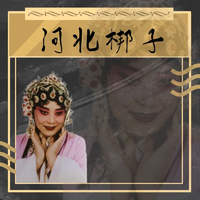 穆桂英挂帅 辕门外三声炮 谢彦巧 高清伴奏
