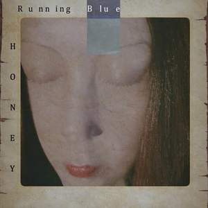 Funny Honey - Renée Zellweger (Pr Instrumental) 无和声伴奏 （降3半音）