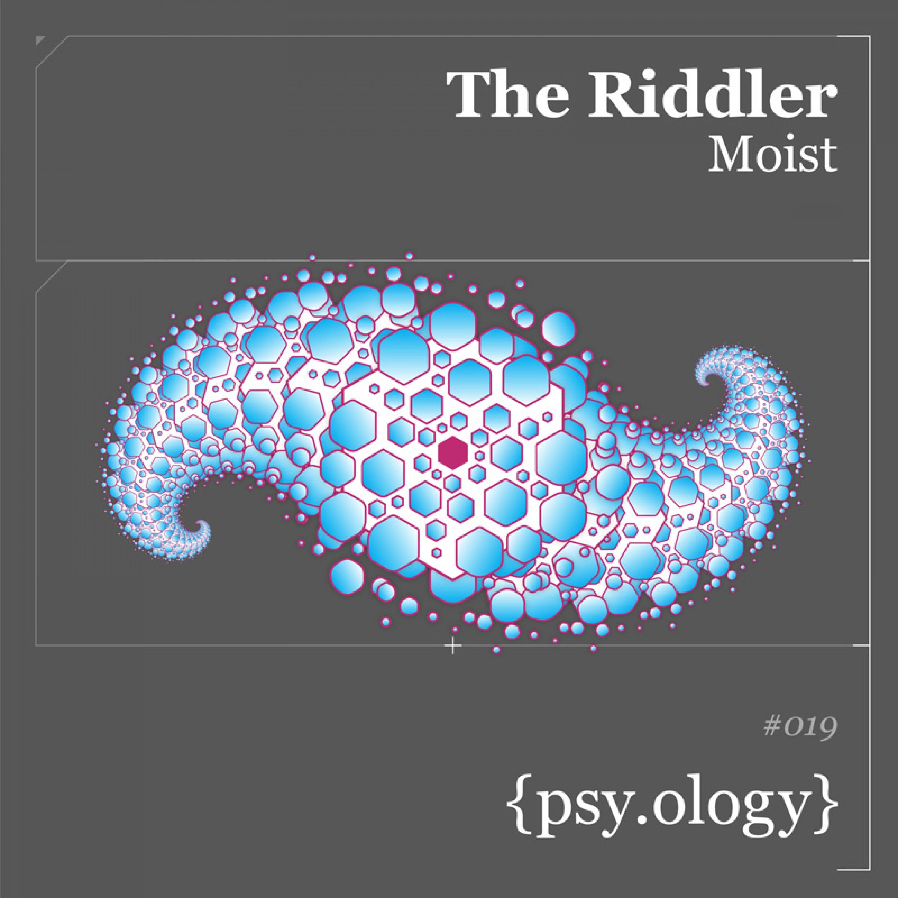 The Riddler - Moist (Original Mix)