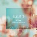 Raina The 2nd Digital Single `모르겠다`专辑