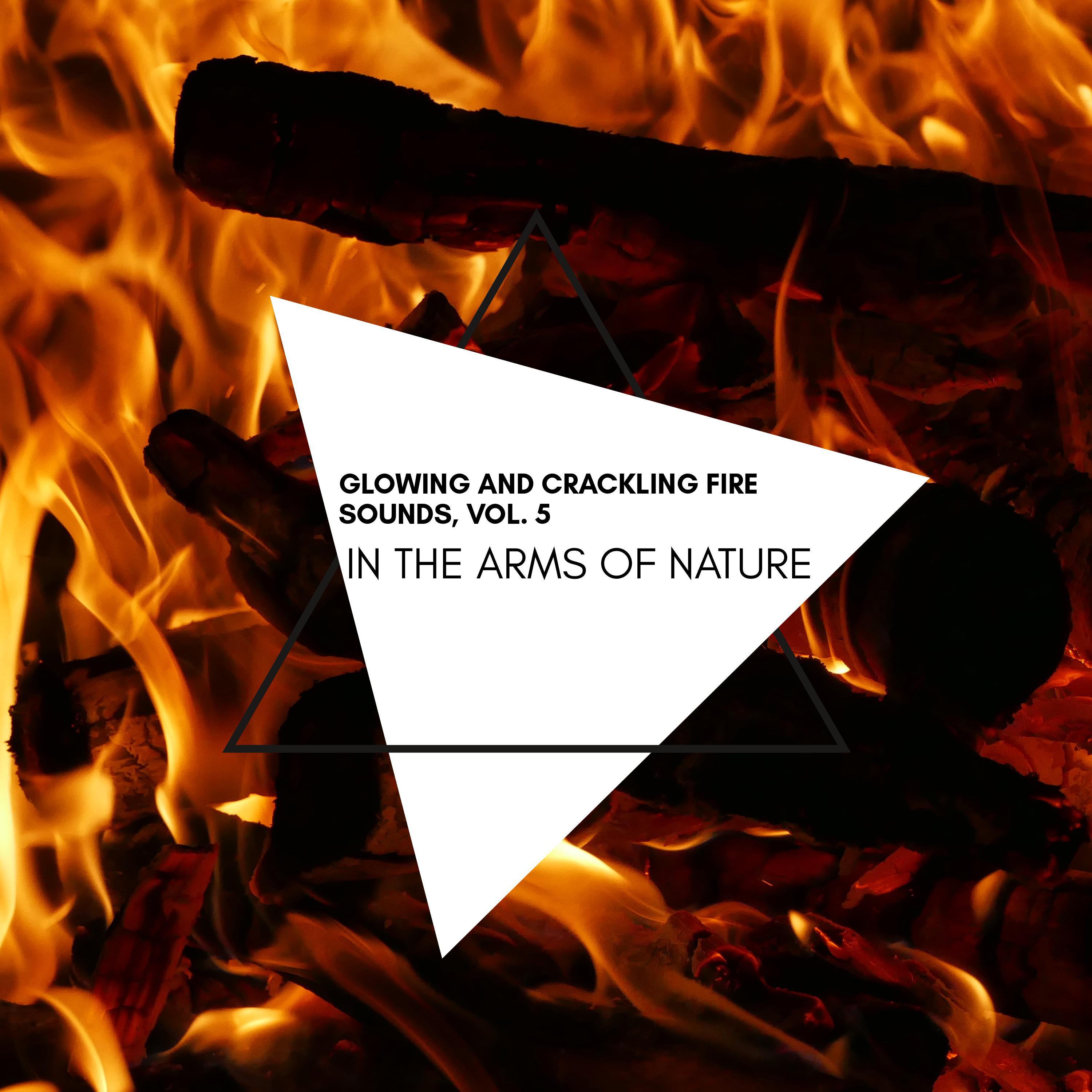 Discover Bliss Nature Music - Heating Hand on Bonfire