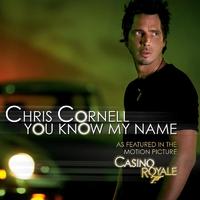 [苏荷英文原版伴奏] You Know My Name - chris cornll （原版伴奏）