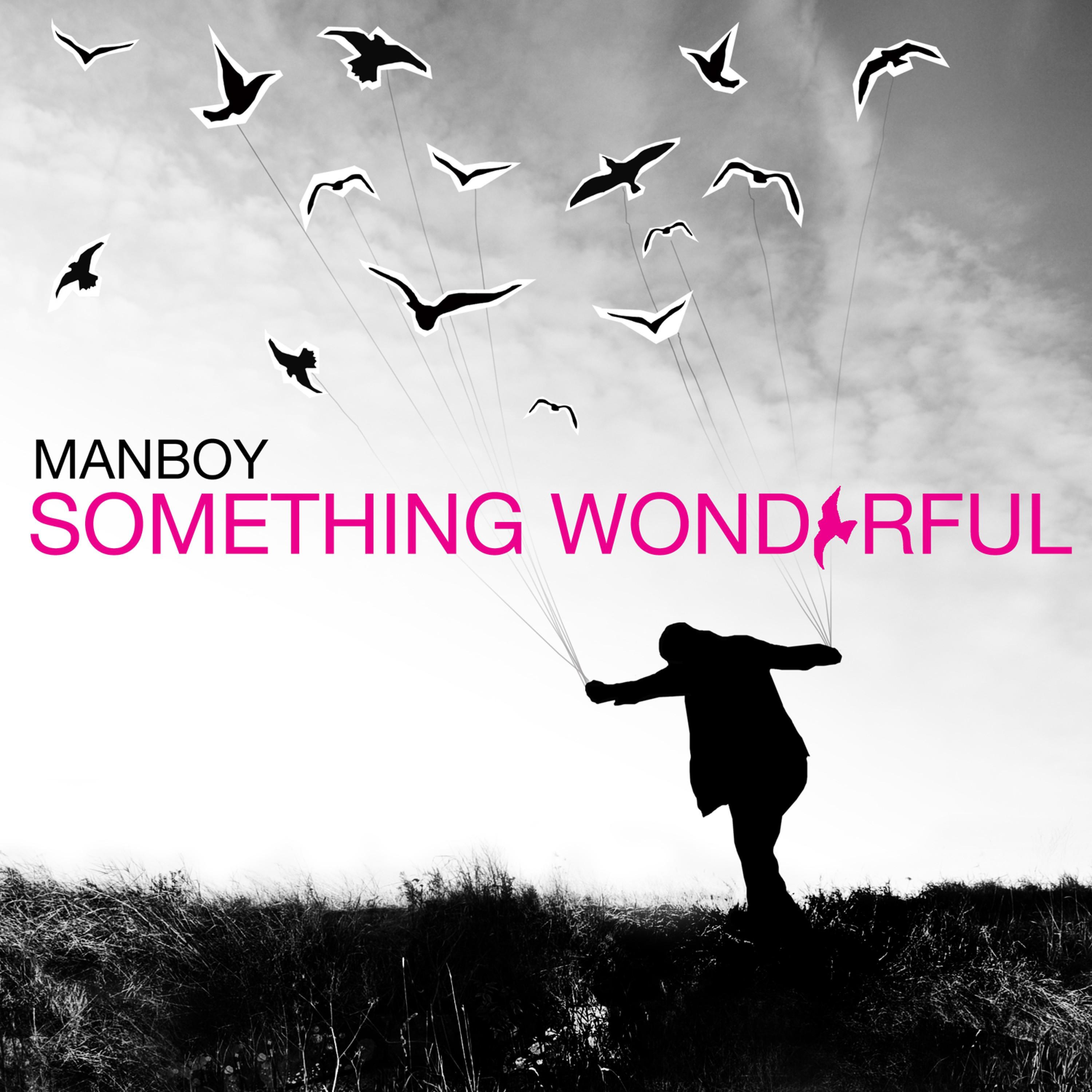 Something Wonderful