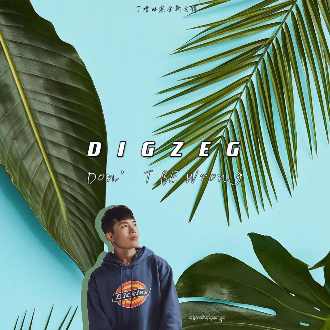丁增DIGZEG