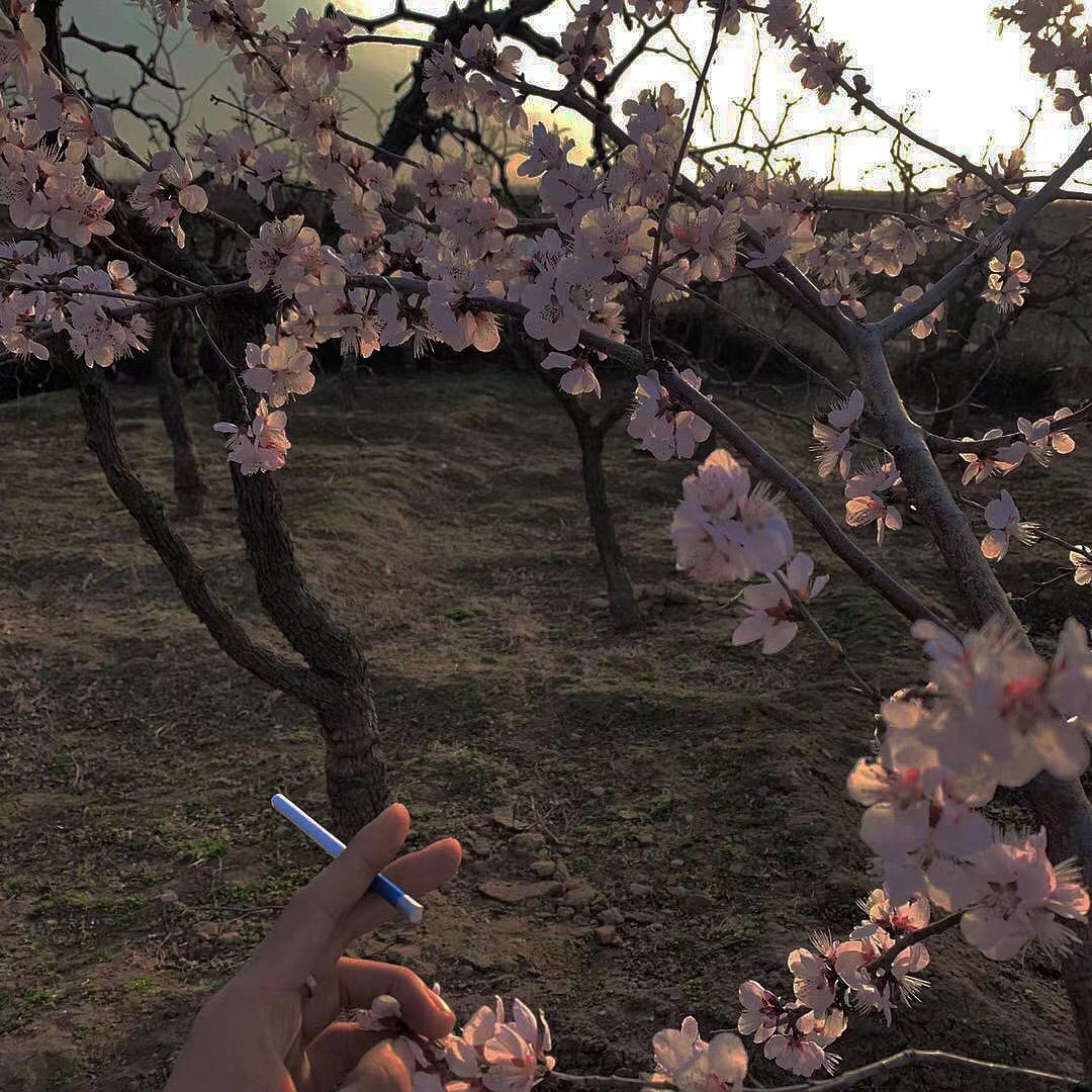 Adele-Rolling in the Deep(DIPIENS Remix)