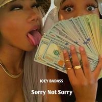 Joey Badass - Sorry Not Sorry