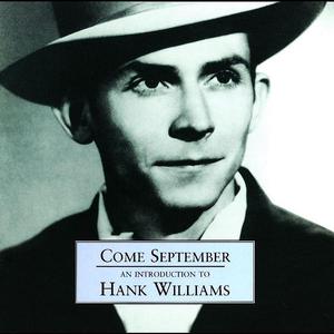 There's A Tear In My Beer - Hank Williams, Jr. (PH karaoke) 带和声伴奏
