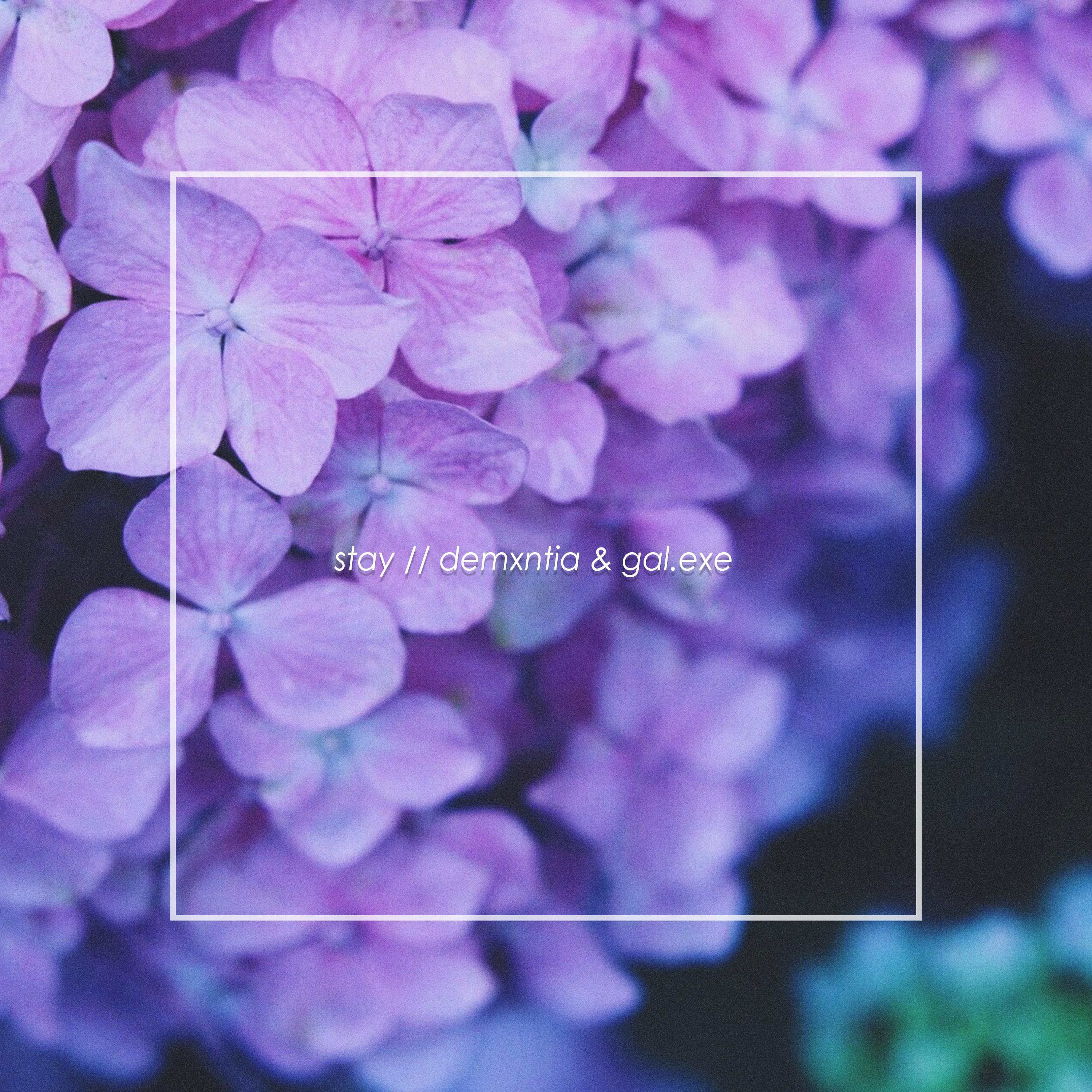 Stay