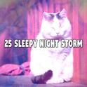 25 Sleepy Night Storm专辑