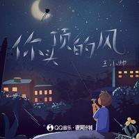 你头顶的风(2023时尚嘉宾EDM电音舞曲资料)