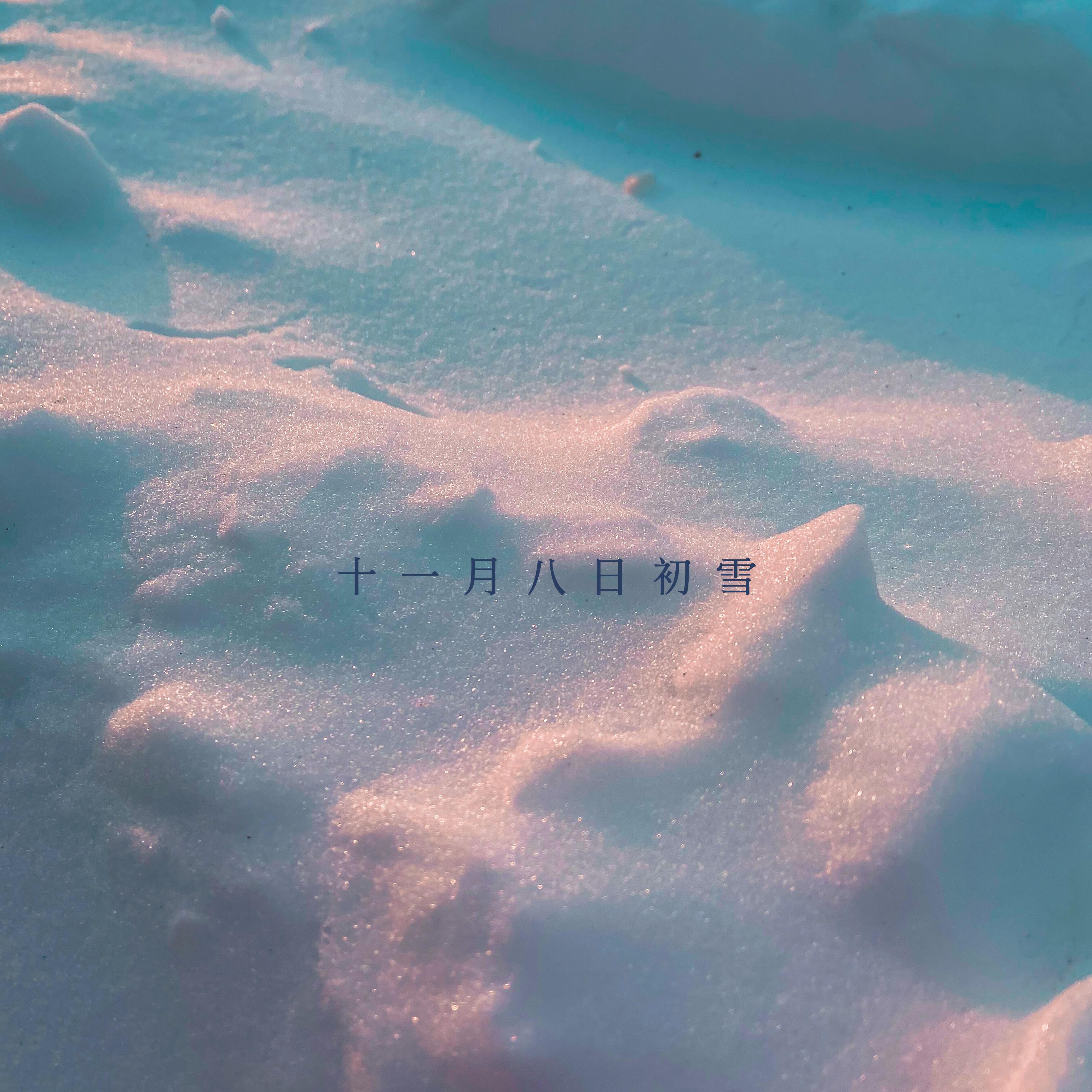 十 一 月 八 日 初 雪