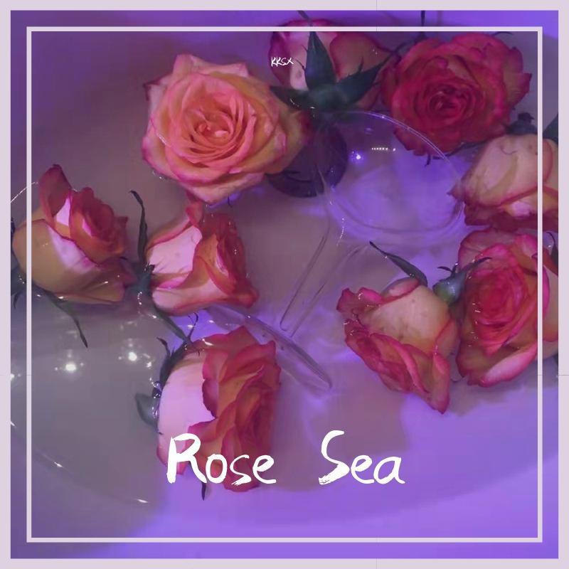 玫瑰花海（prod.3W)