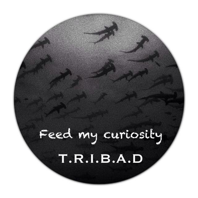 Feed My Curiosity专辑