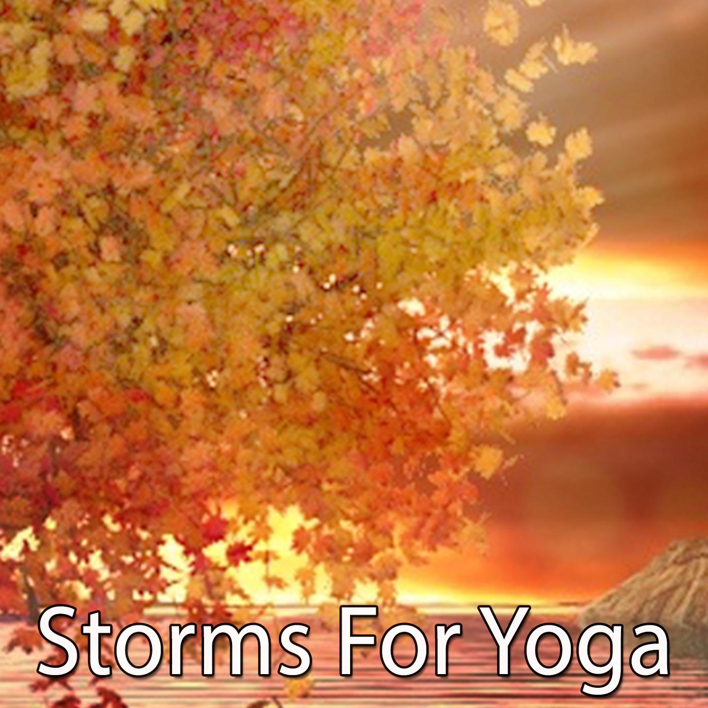 Storms For Yoga专辑