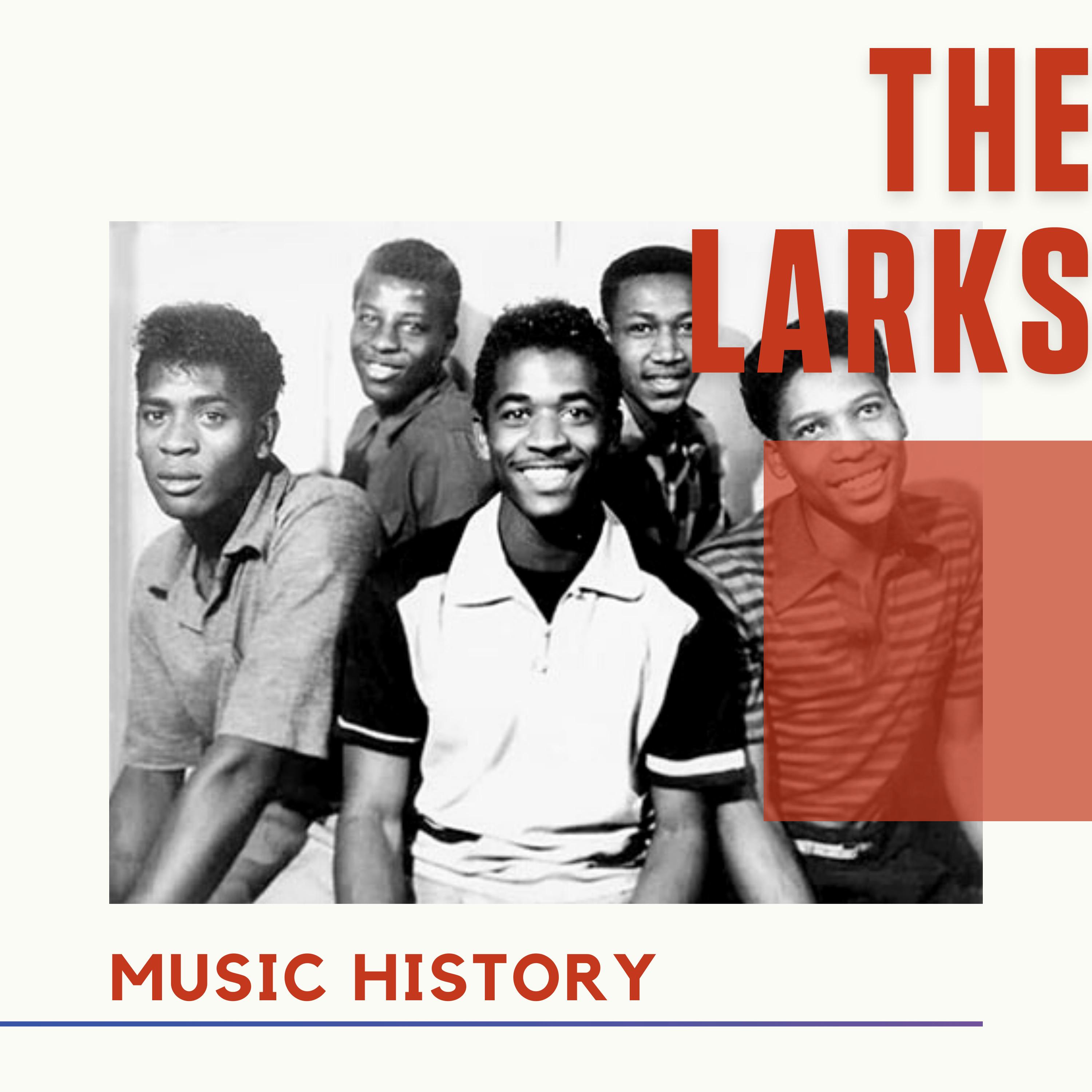 The Larks - Music History