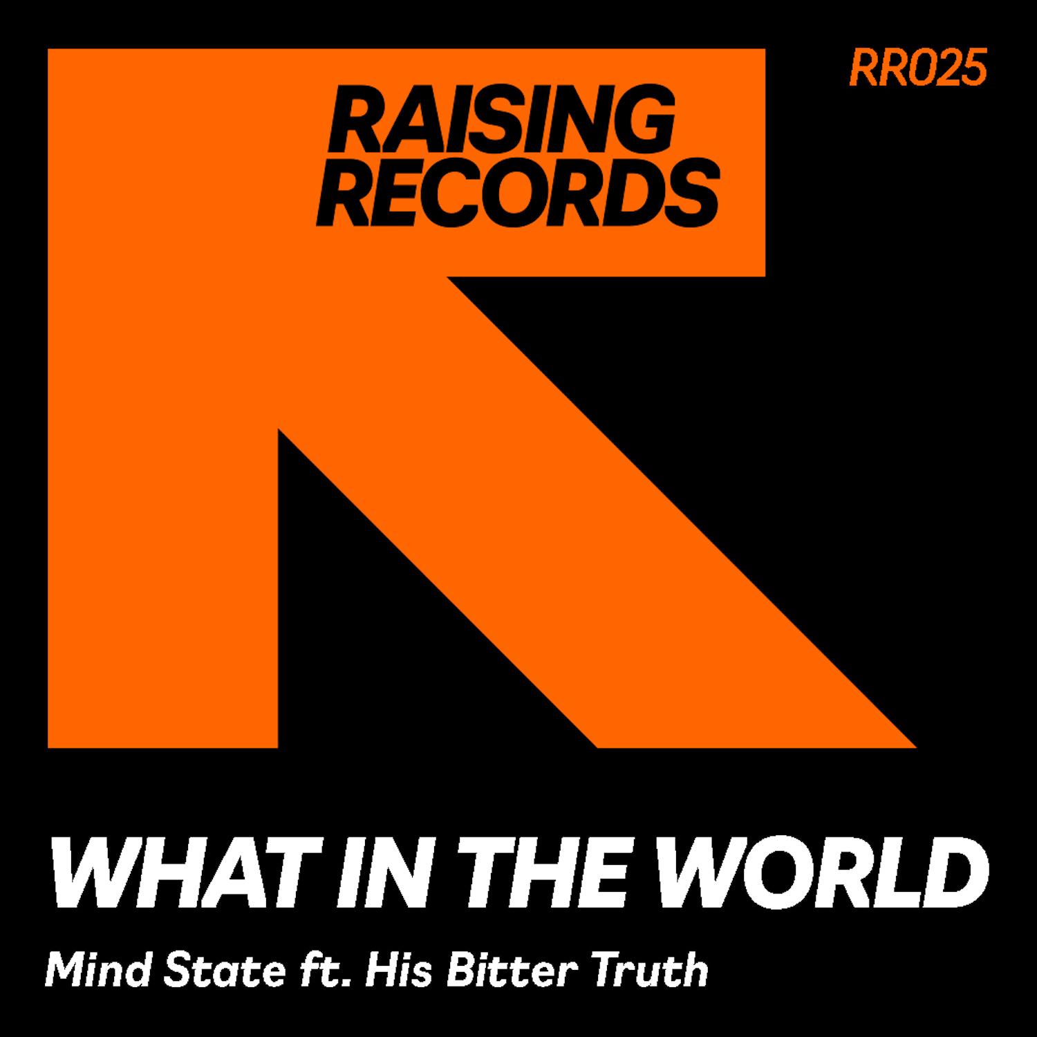 What In The World (True2Life Vocal Mix)