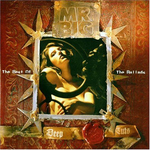 Mr Big - Wild World (unofficial Instrumental) 无和声伴奏 （升5半音）