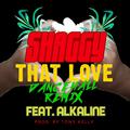 That Love (Dancehall Remix)